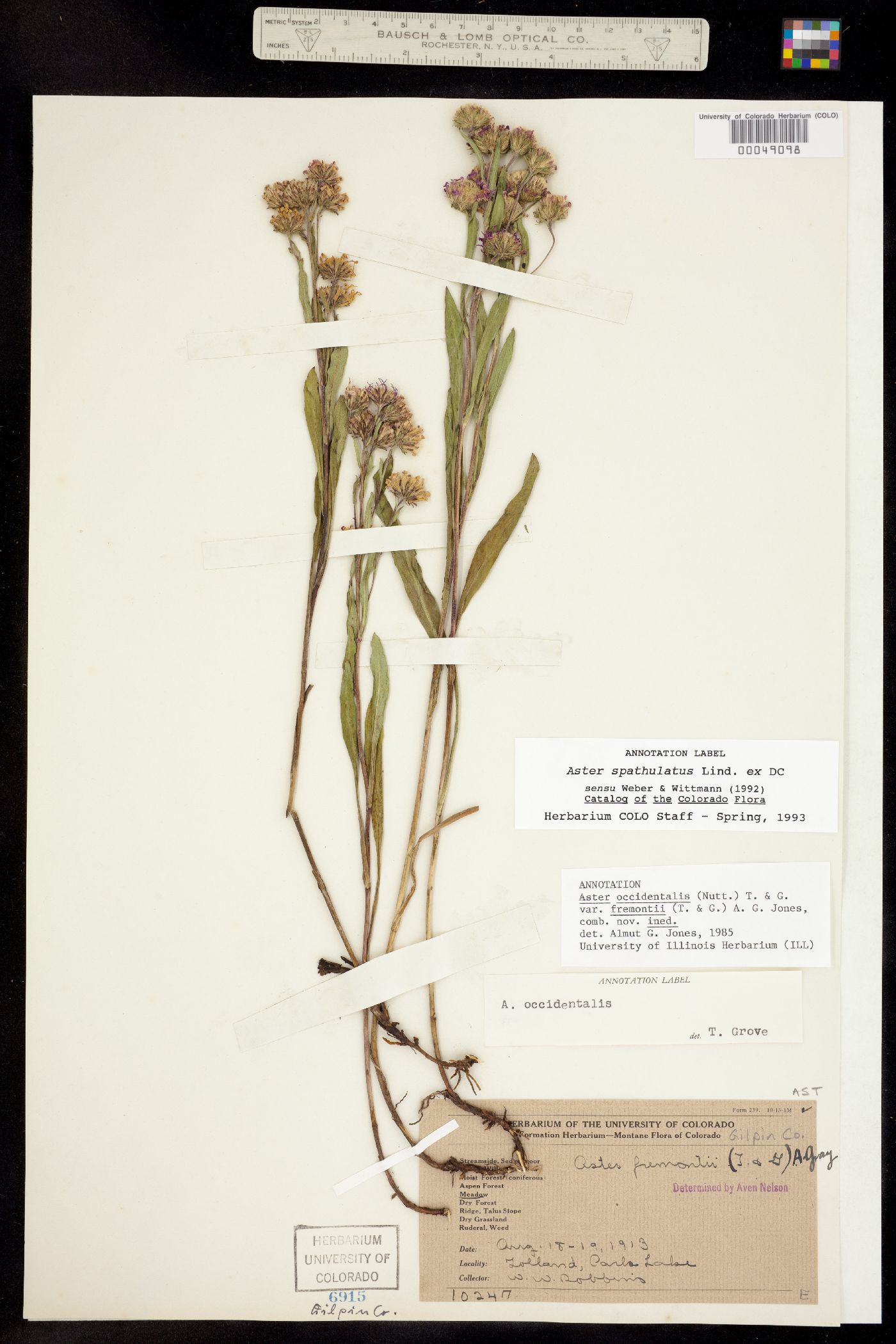 Aster image