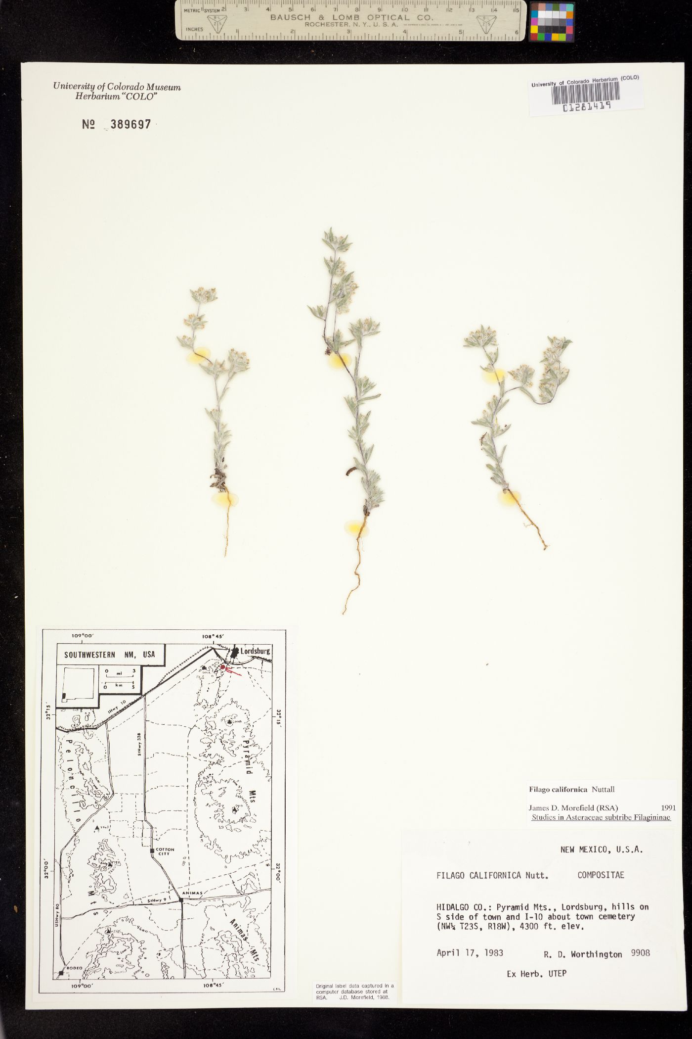 Logfia image