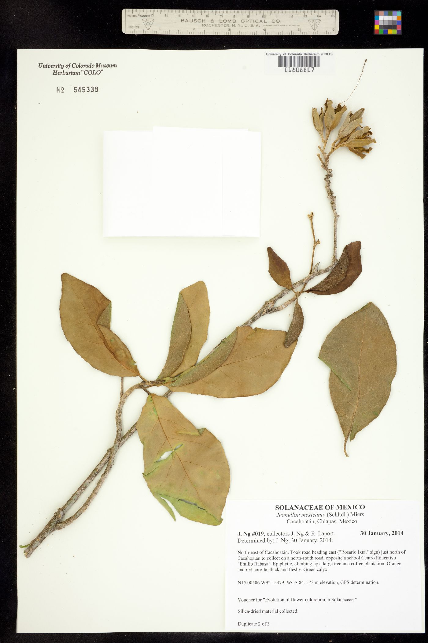 Juanulloa image