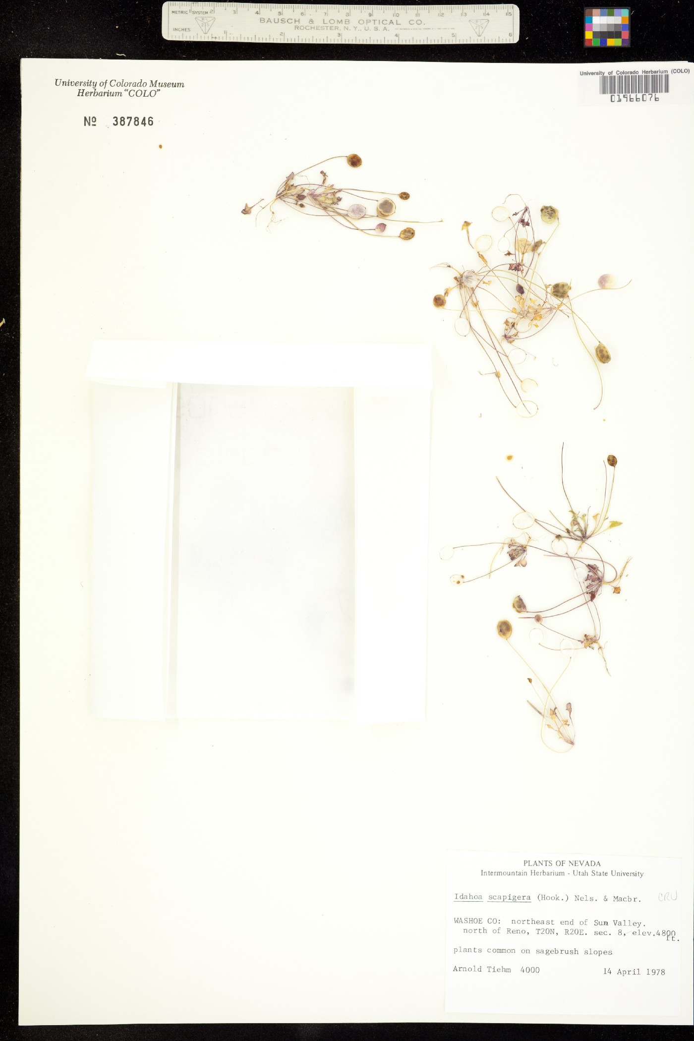 Idahoa image