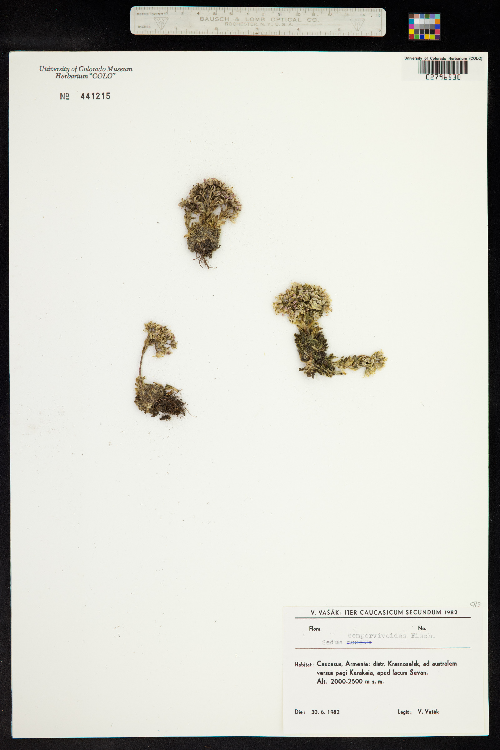 Prometheum image