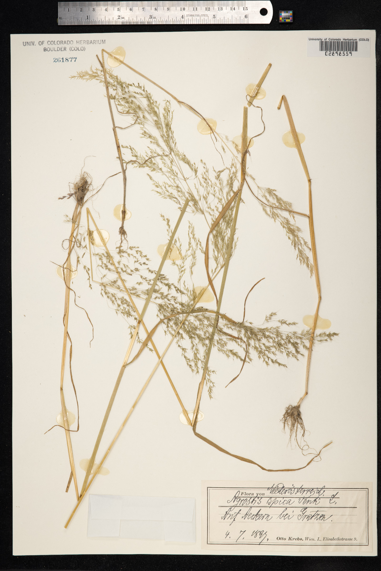 Apera image